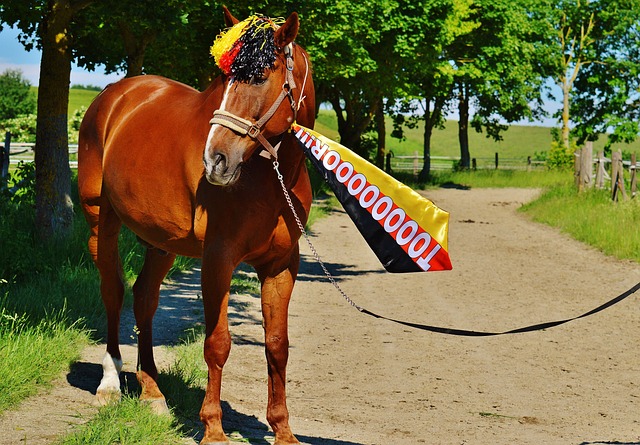 无疑会激发 无疑会激发