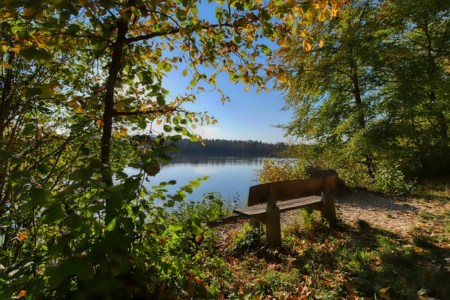 帮助我们预 帮助我们预