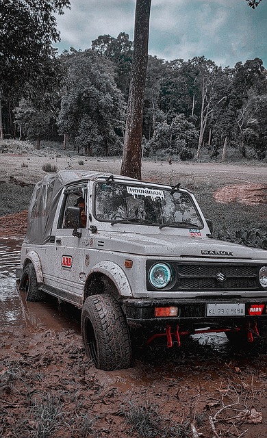 身体转变常 身体转变常