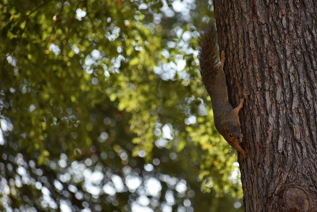 际足球舞台 际足球舞台